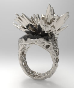 Alternative view of Fractal ring