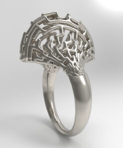 Maze ring