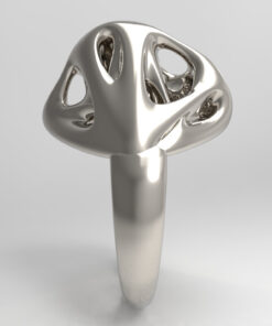 Alternative view of Organic ring