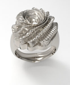 Alternative view of Fossile Ring