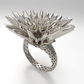 Chawg ring