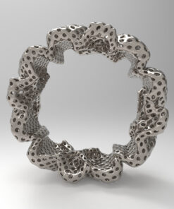 Alternative view of Palpi ring