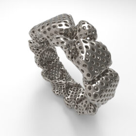 Palpi ring