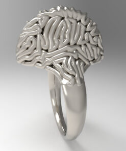 Fizz Ring