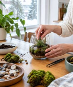 Alternative view of Kit terrarium de plantes tout-en-un