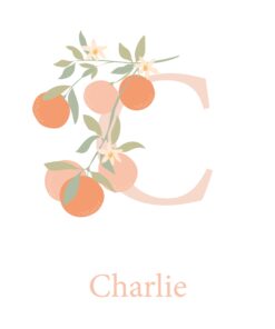 Affiche personnalisée pour bébé – Cadeau naissance unique