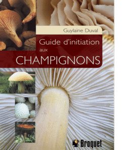 Guide d’initiation aux champignons