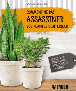 Comment ne pas assassiner vos plantes d’intérieur