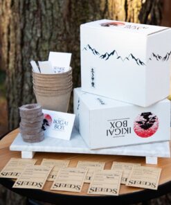 Boîte de démarrage Bonsaï deluxe – 8 espèces à cultiver