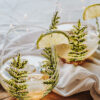 Duo de verres design boréal – Cadeau nature Québec