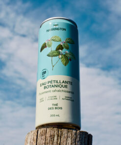 Pack de 4 eaux pétillantes au Thé des bois du Québec