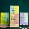 Boîte découverte Tisanes boréales – Saveurs du Québec
