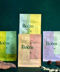 Boîte découverte Tisanes boréales – Saveurs du Québec