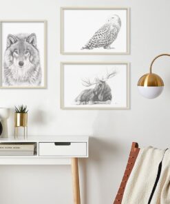 Illustrations d’animaux majestueux – Décoration murale